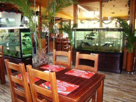 Hotel La Scoica Land นาโวดาริ ภายนอก รูปภาพ